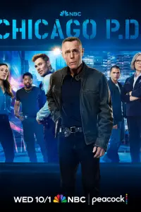 Полиция Чикаго (2014)